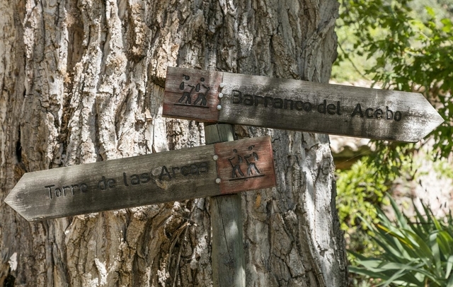 Property image S42