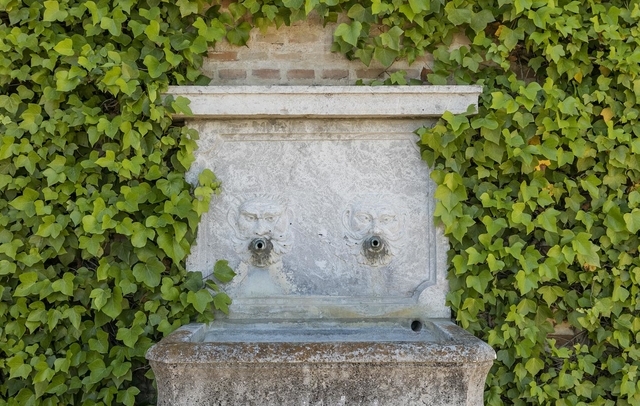 Fotografia propiedad S8