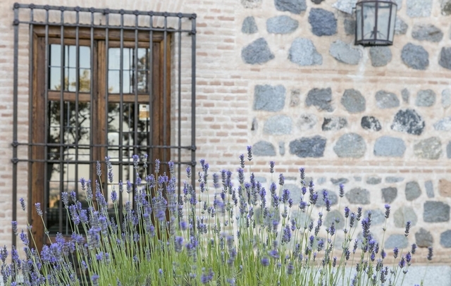 Fotografia propiedad S8