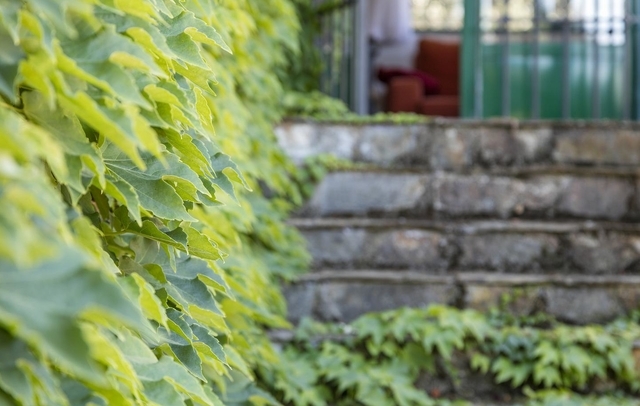 Fotografia propiedad S14