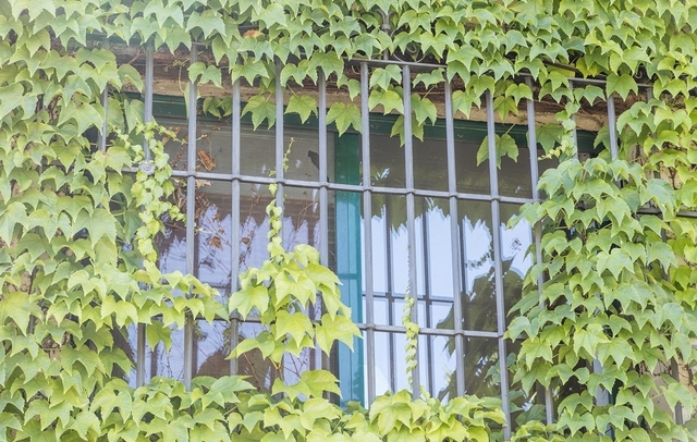 Fotografia propiedad S14