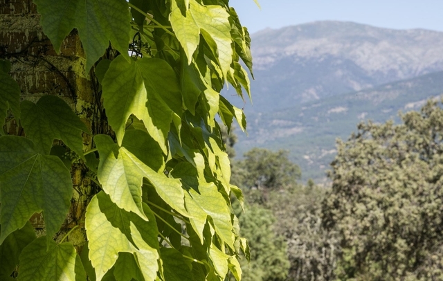 Fotografia propiedad S14