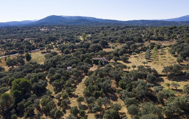 Fotografia propiedad S14