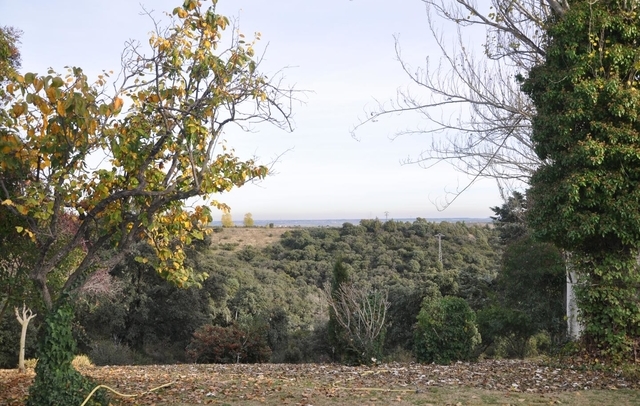 Fotografia propiedad S29