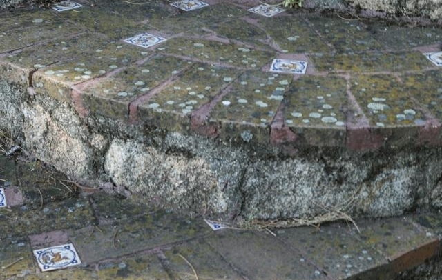 Fotografia propiedad S21