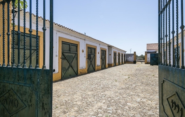 Property image S10