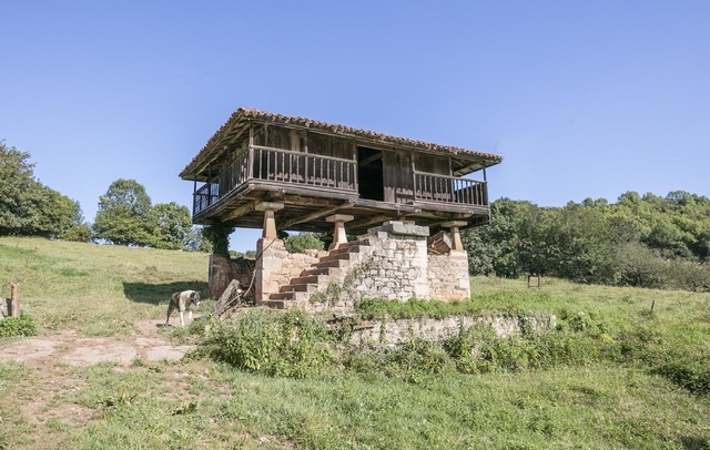 Fotografia propiedad S25