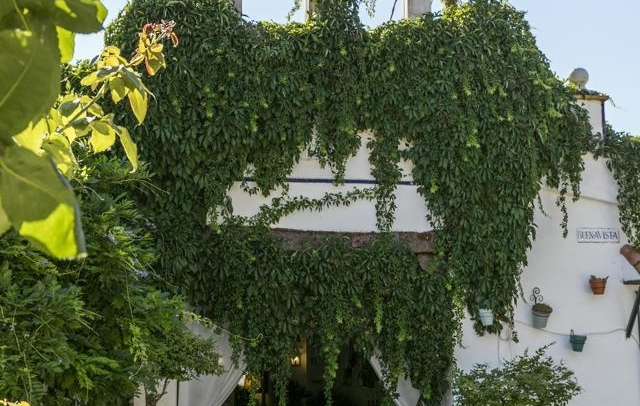 Fotografia propiedad S13