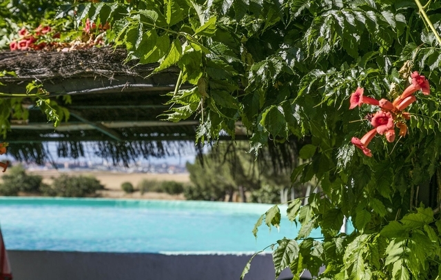 Fotografia propiedad S13