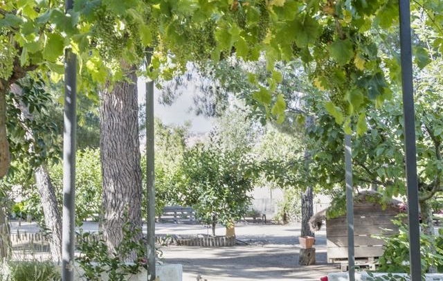 Fotografia propiedad S13