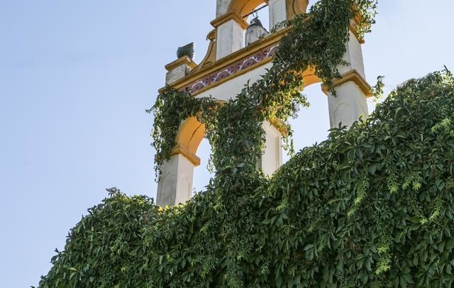 Fotografia propiedad S13