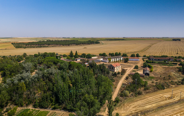 Terrenos