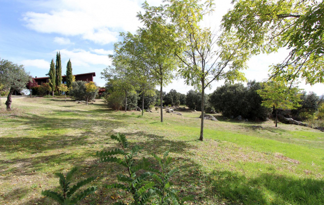 Property image S65