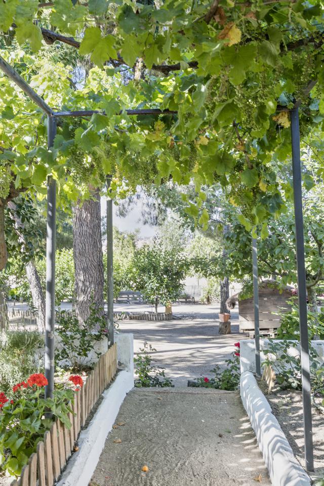 Fotografia propiedad S13