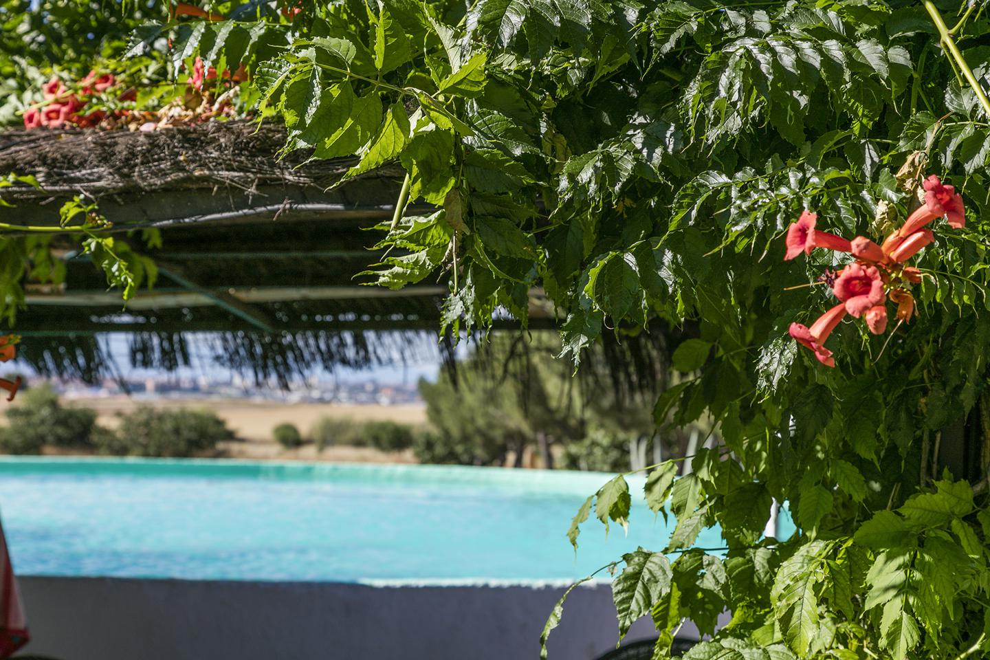 Fotografia propiedad S13