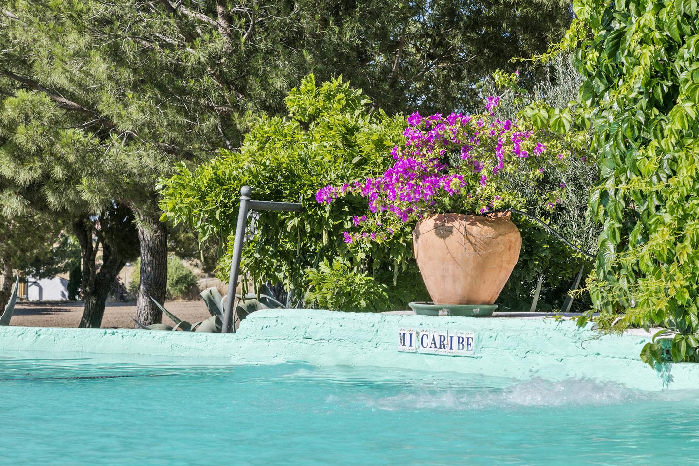 Fotografia propiedad S13