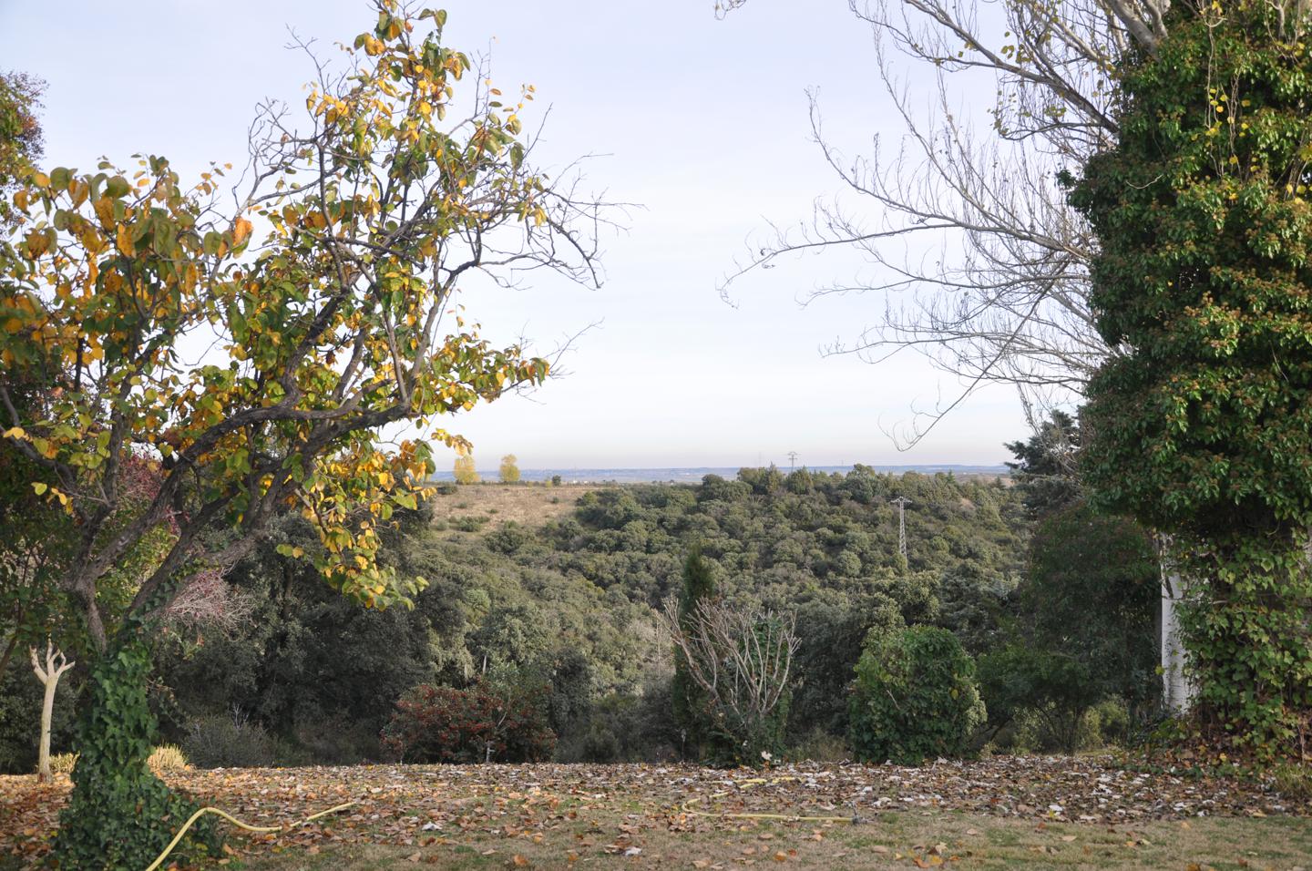 Fotografia propiedad S29
