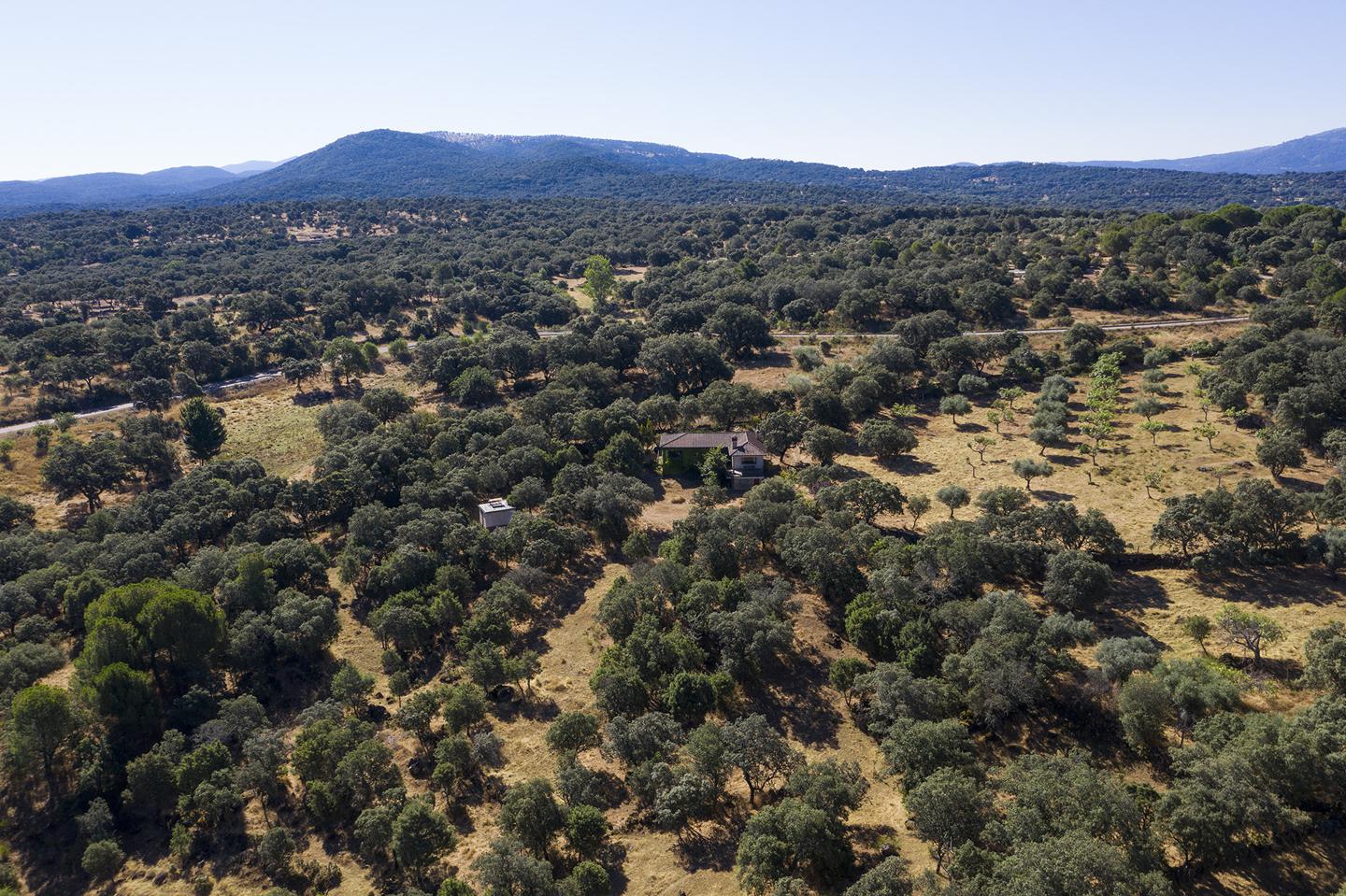 Fotografia propiedad S14