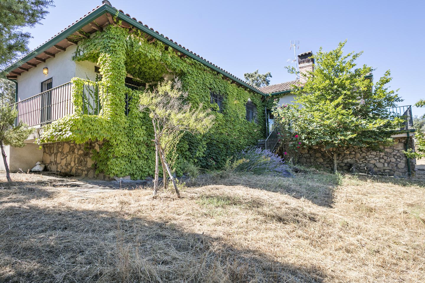 Fotografia propiedad S14