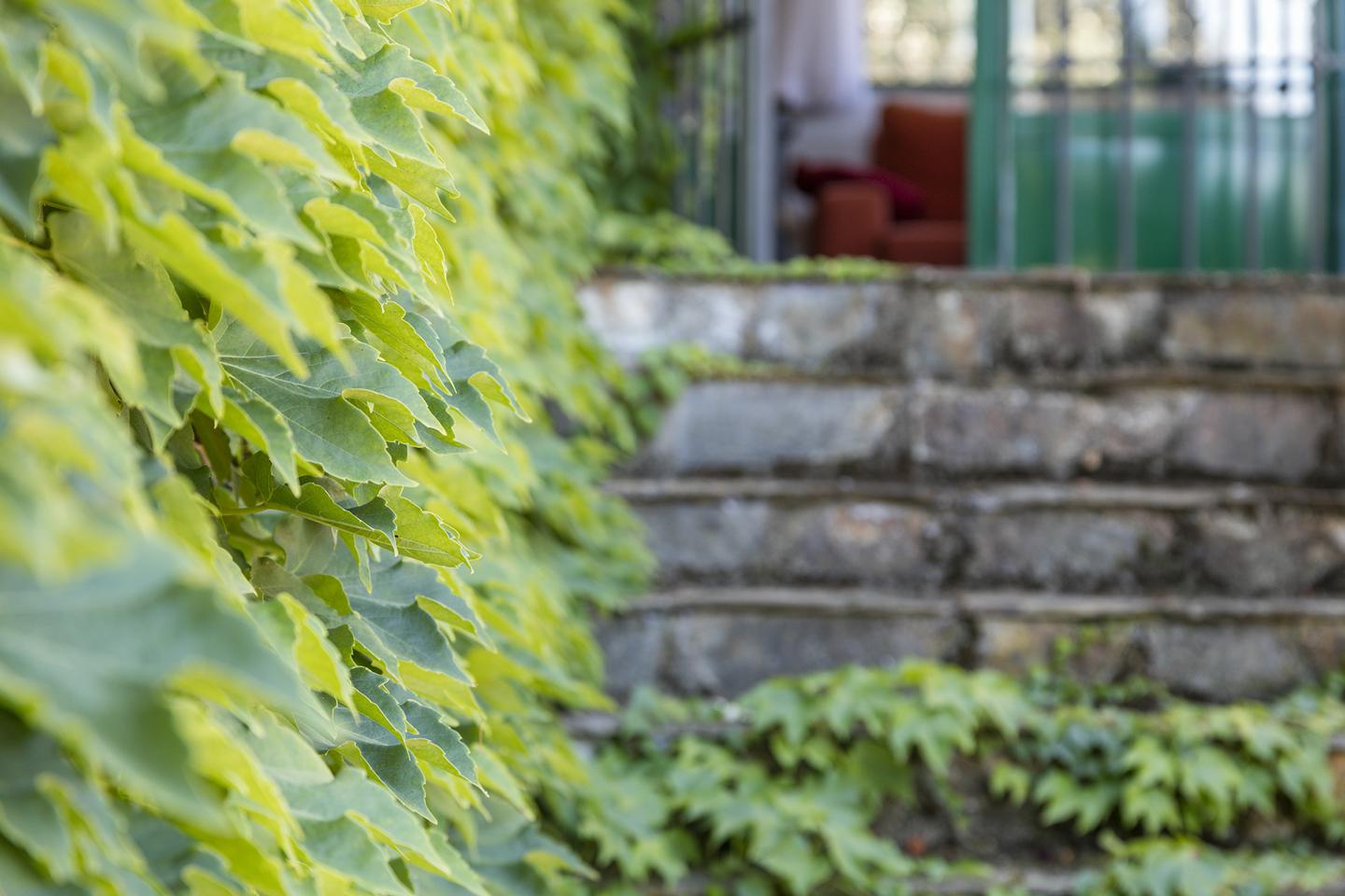Fotografia propiedad S14