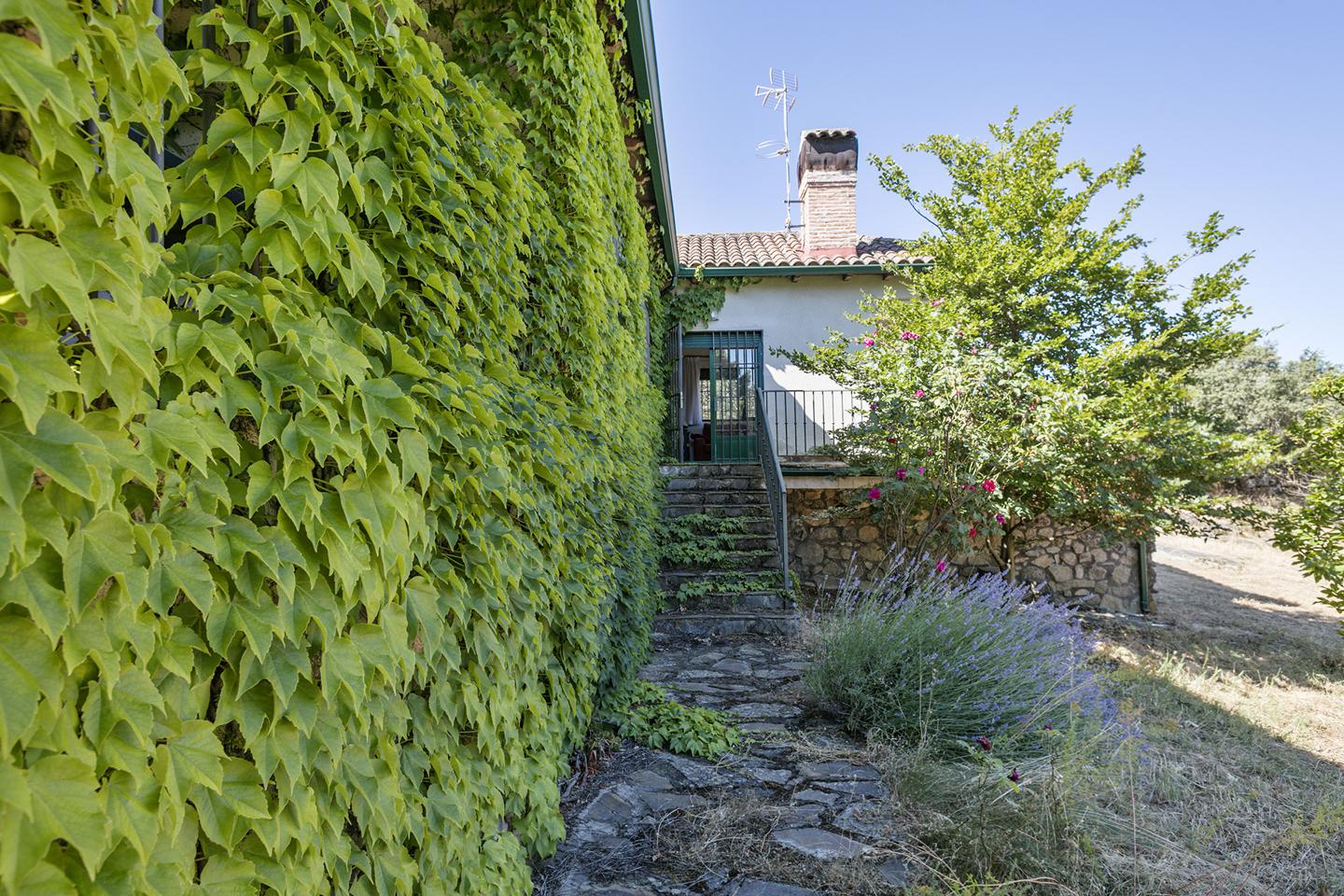 Fotografia propiedad S14