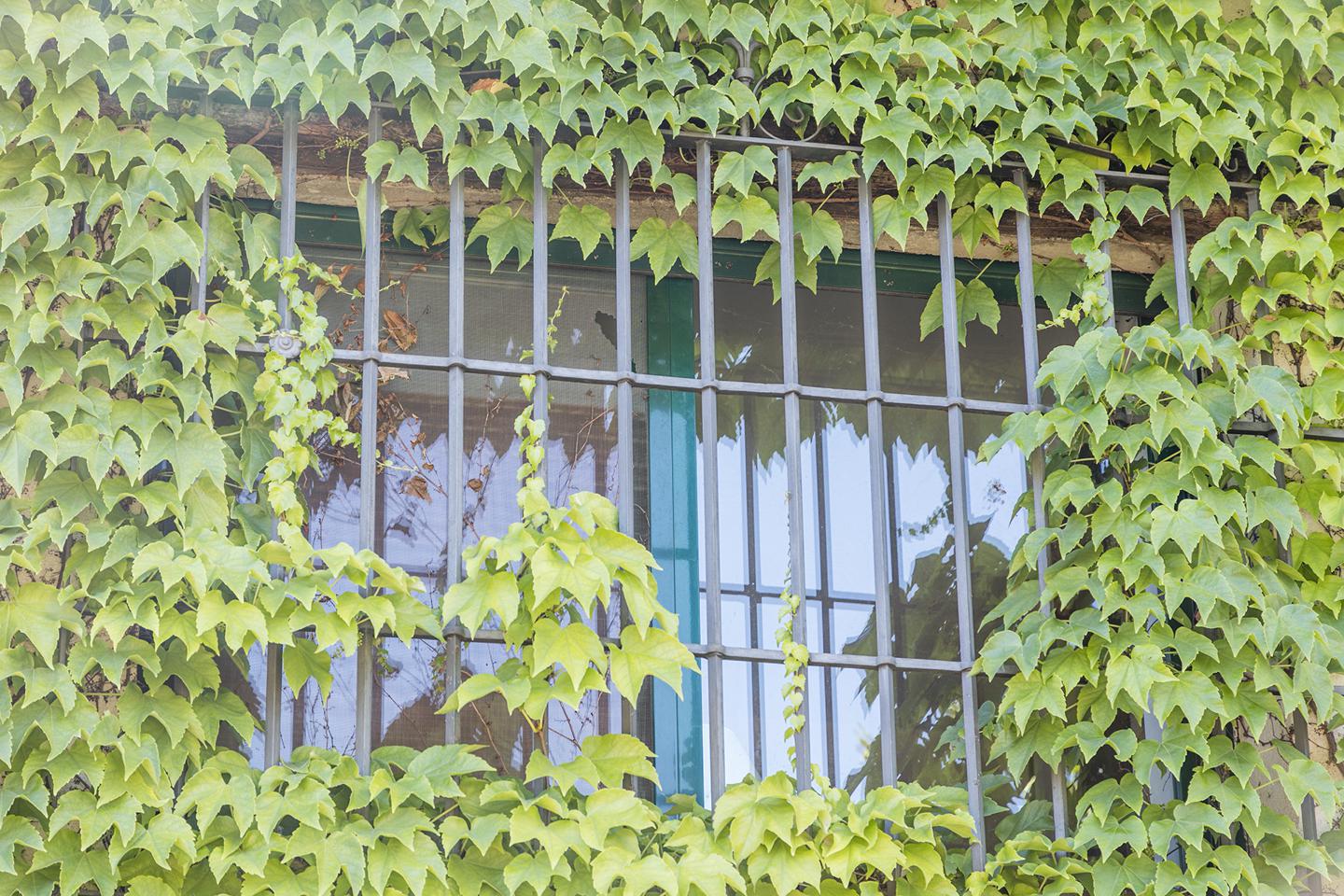 Fotografia propiedad S14