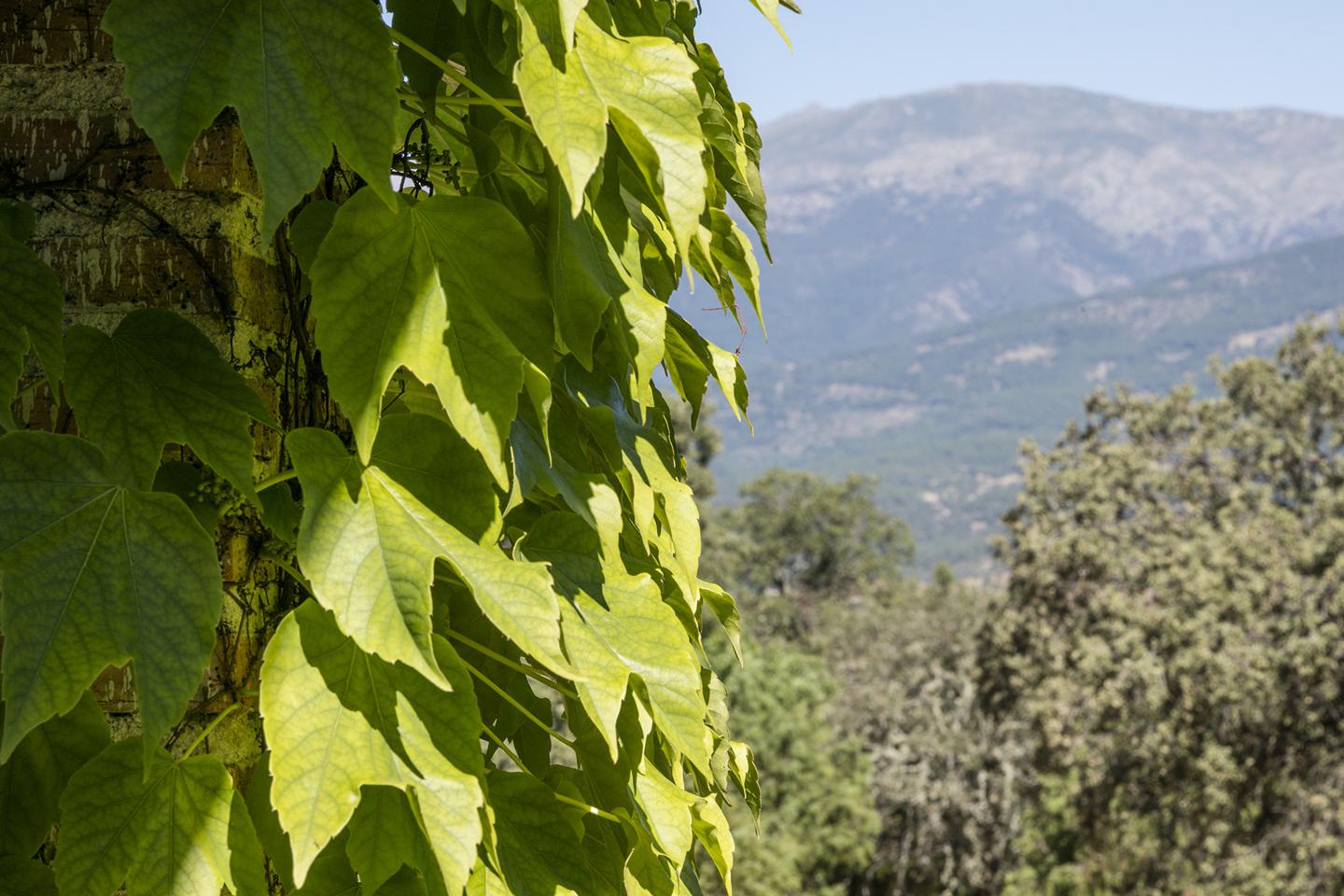 Fotografia propiedad S14