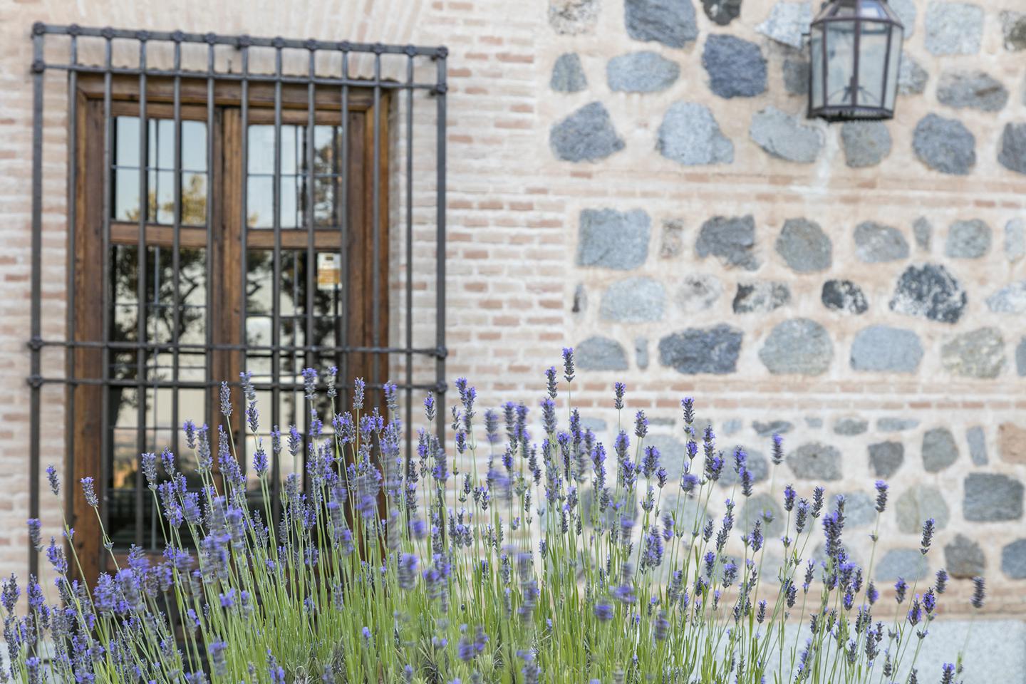 Fotografia propiedad S8