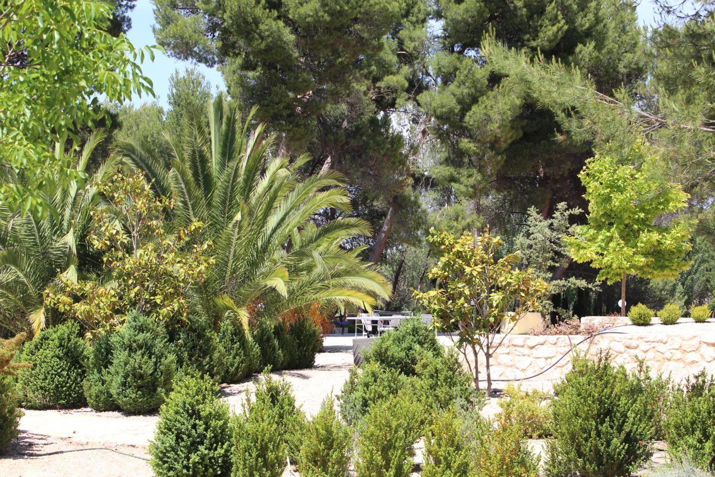 Fotografia propiedad S45