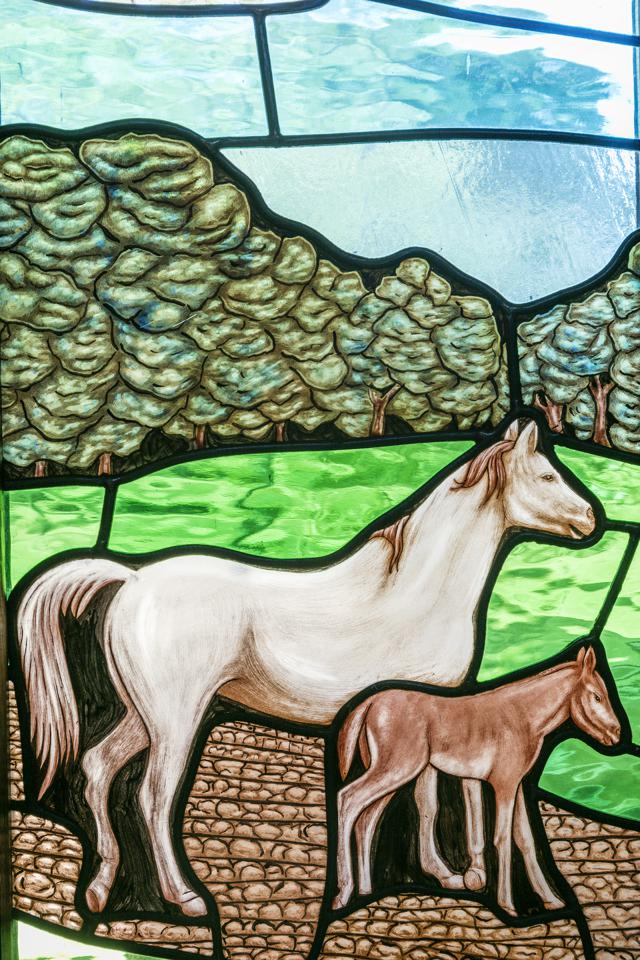 Fotografia propiedad S11