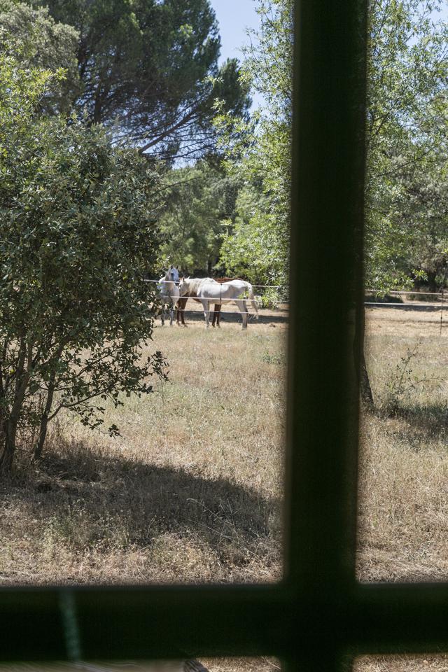 Fotografia propiedad S11