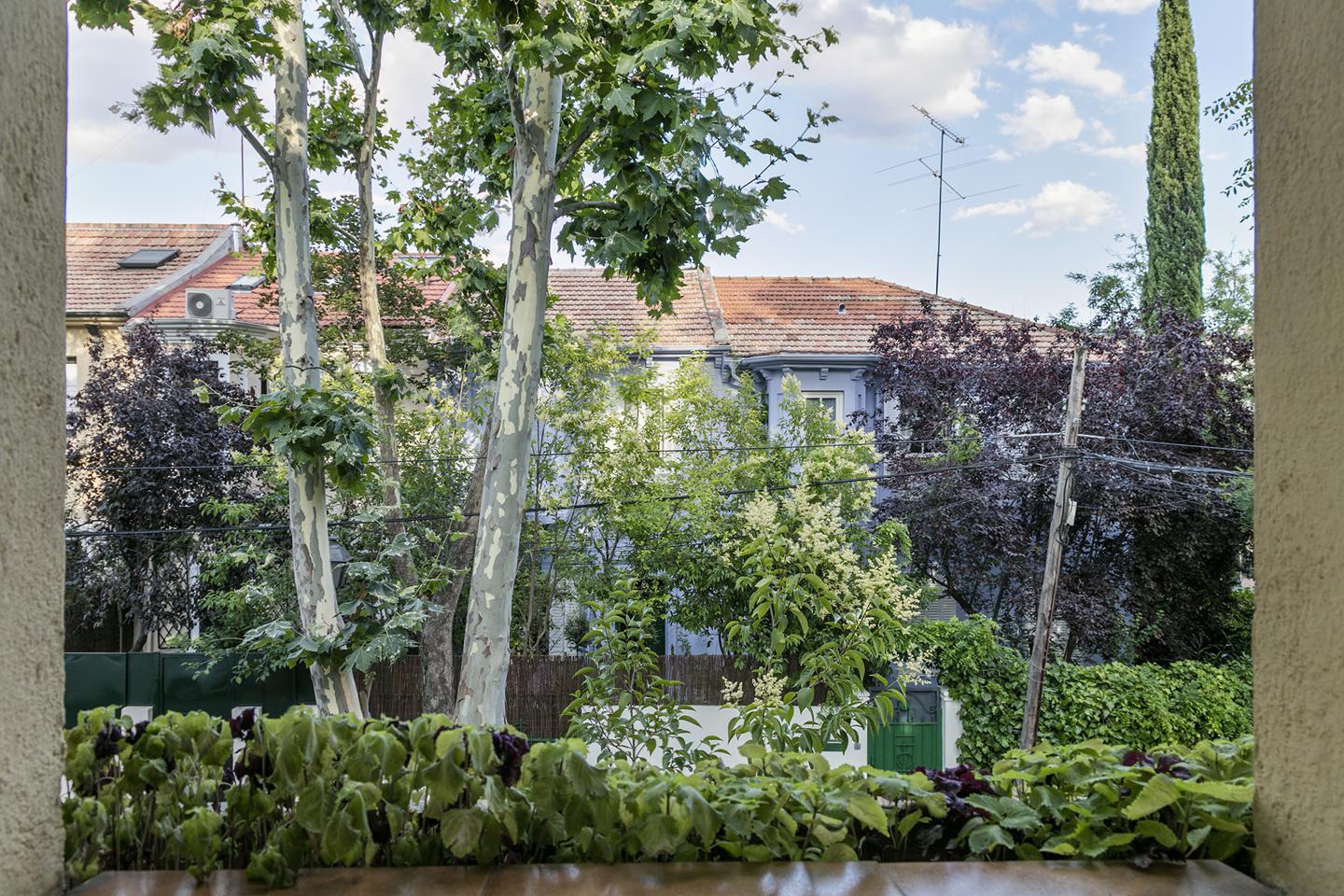 Property image S12