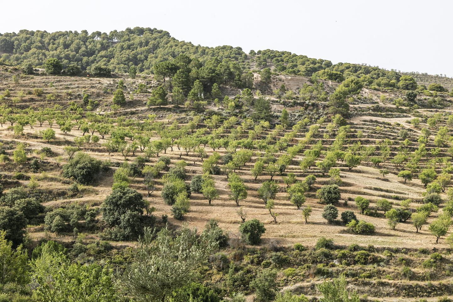 Fotografia propiedad S17
