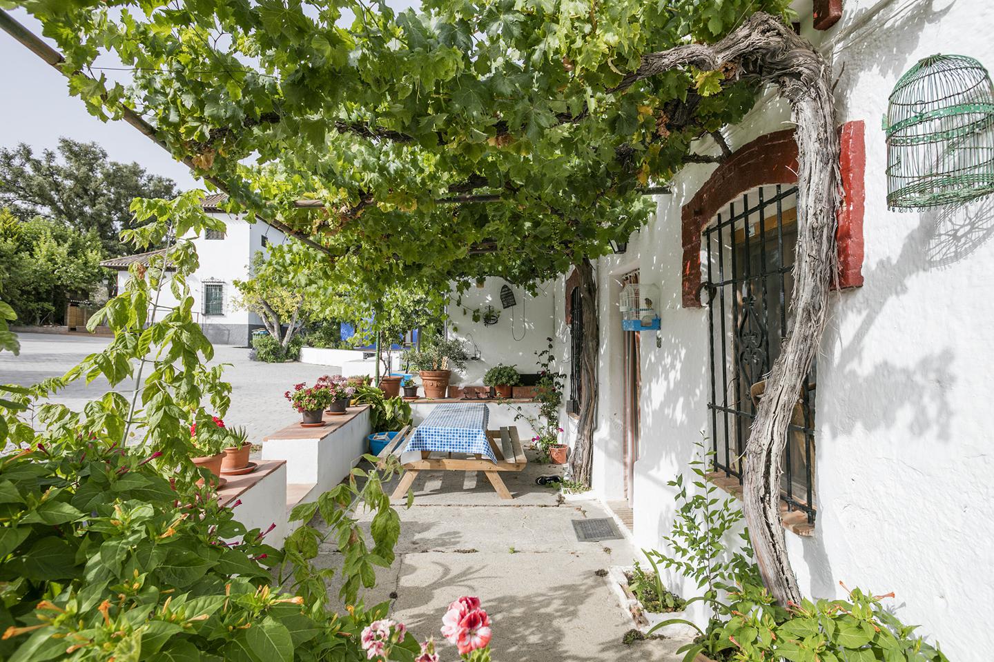 Fotografia propiedad S17