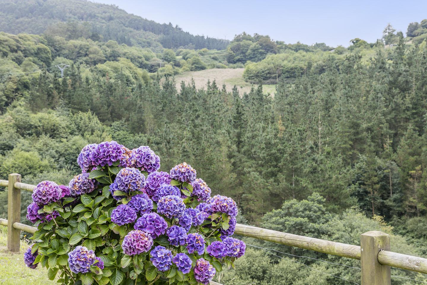 Fotografia propiedad S51