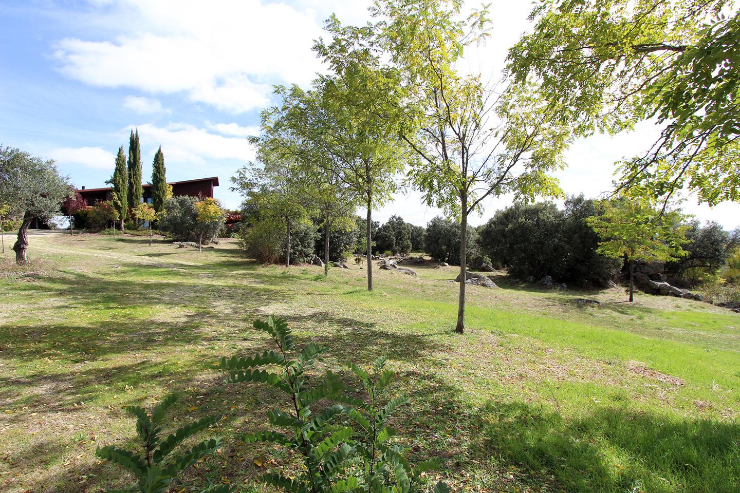 Property image S65
