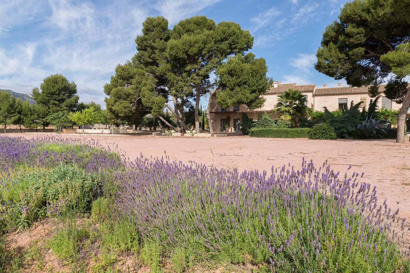 Property image S94