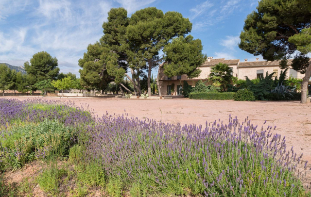 Property image S94