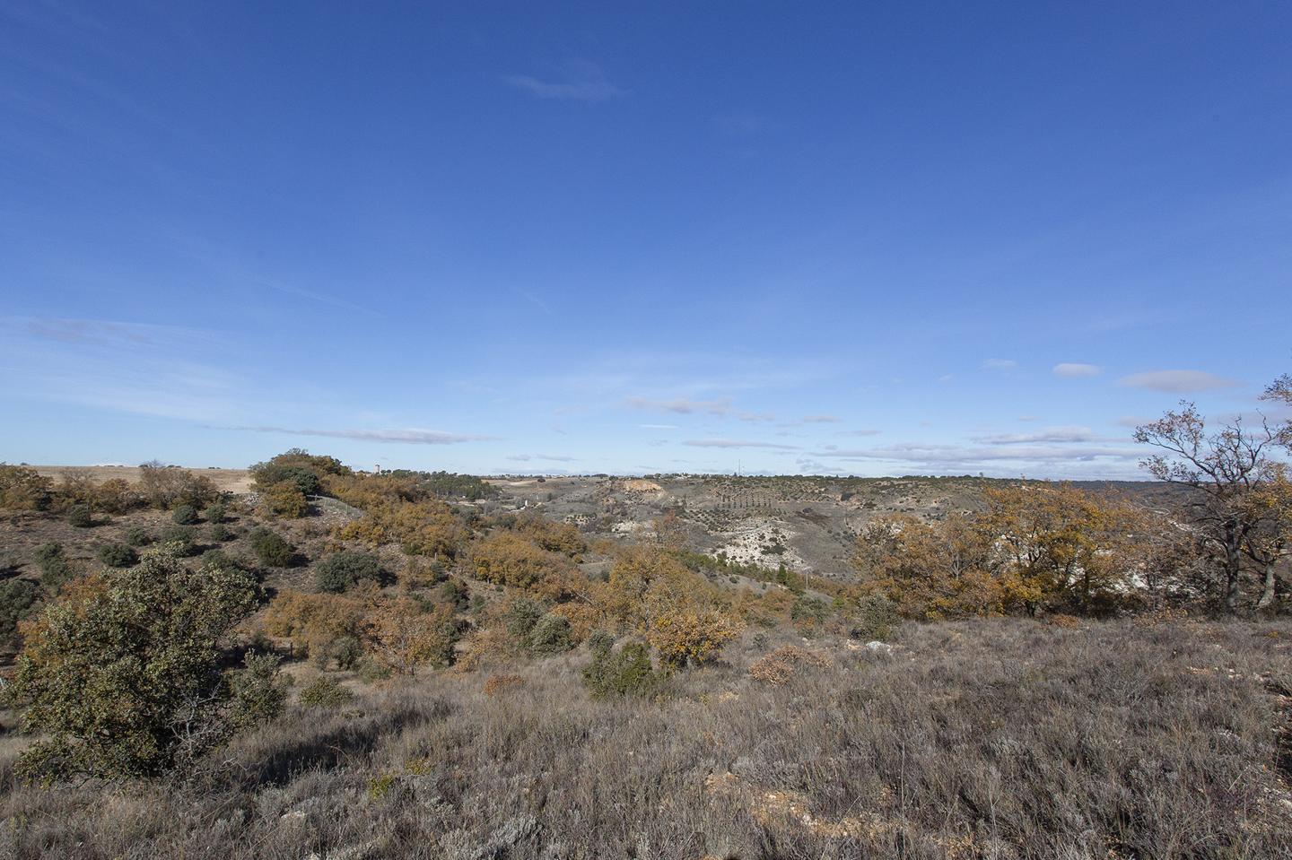 Property image S119