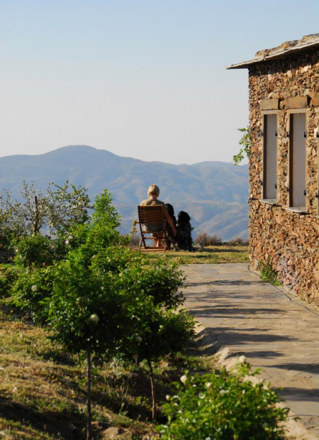 Property image S96