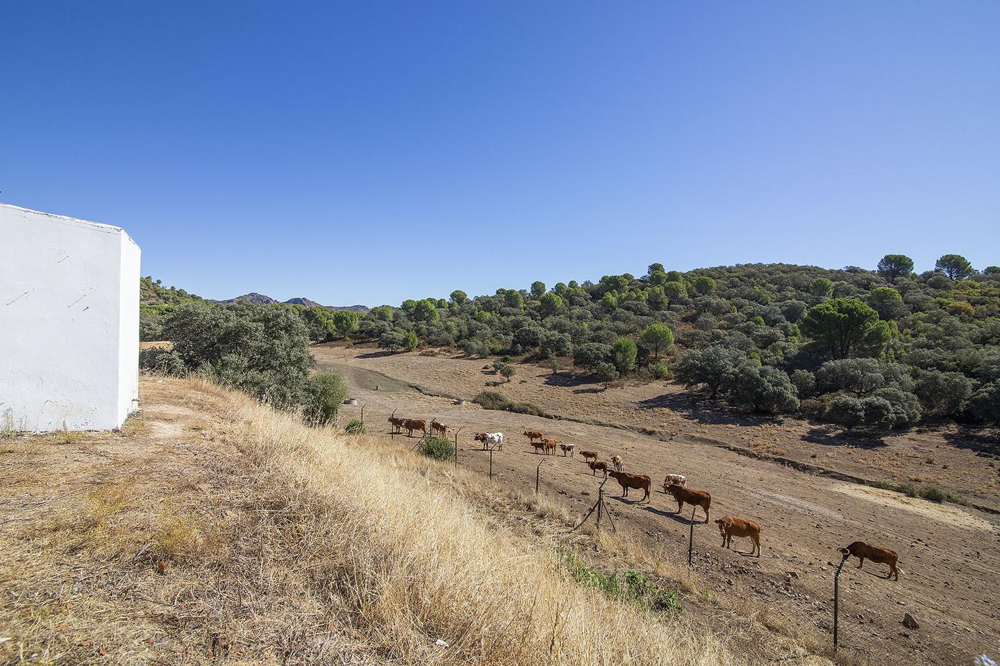 Fotografia propiedad S151