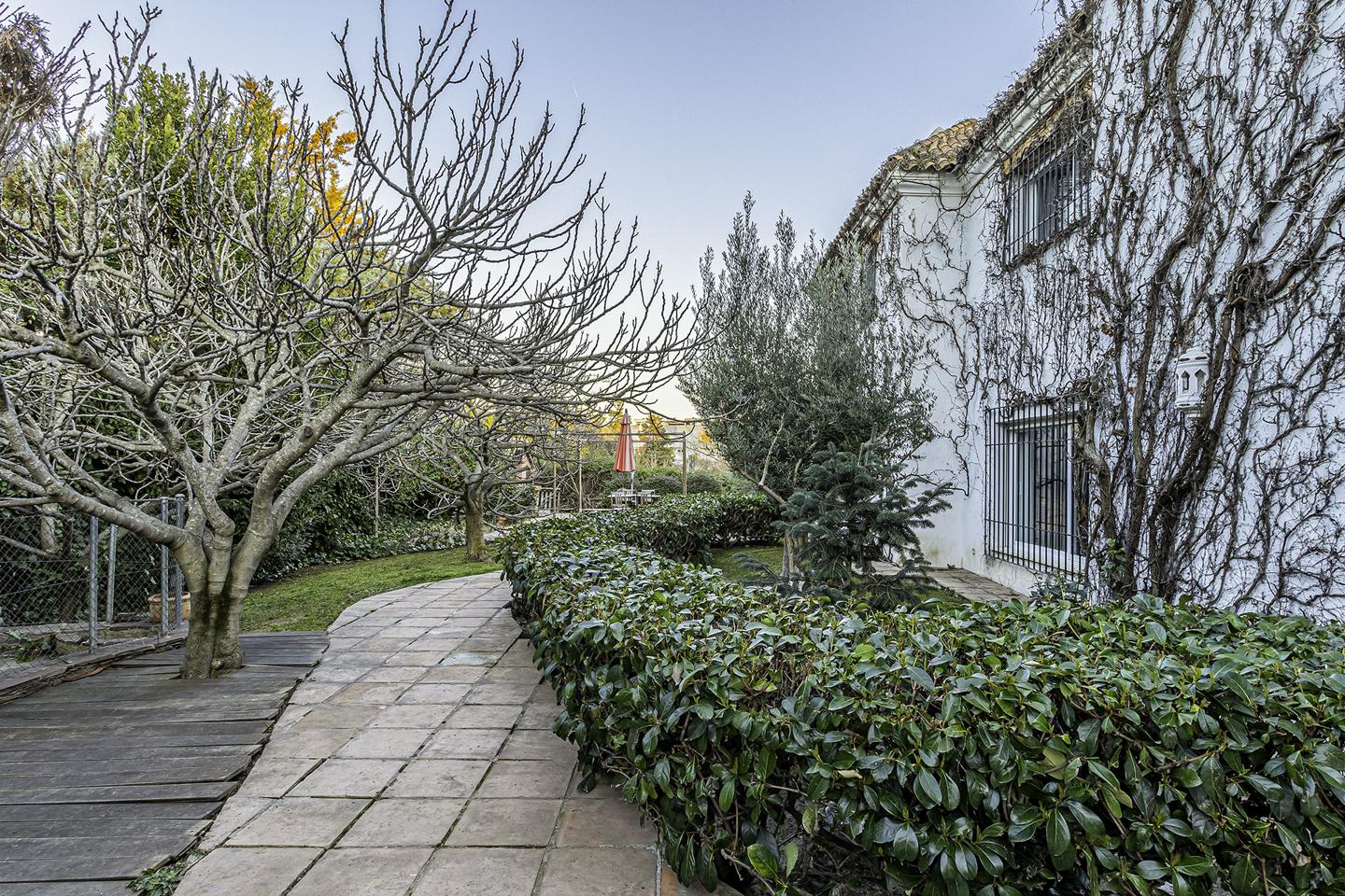 Fotografia propiedad S162