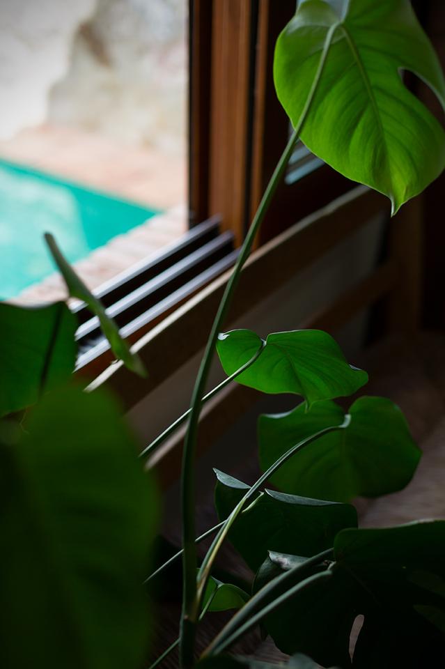 Fotografia propiedad S200