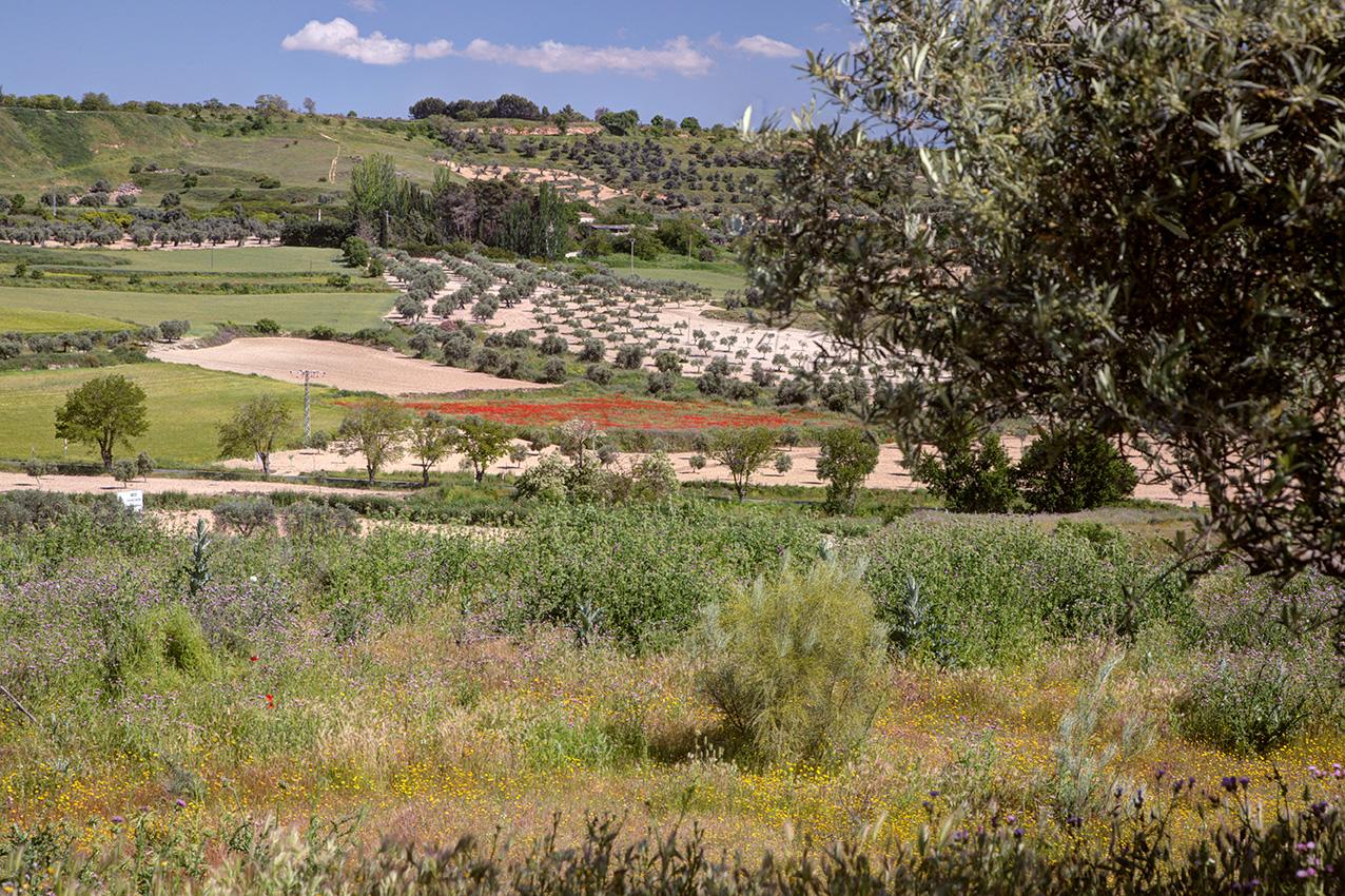 Fotografia propiedad S219