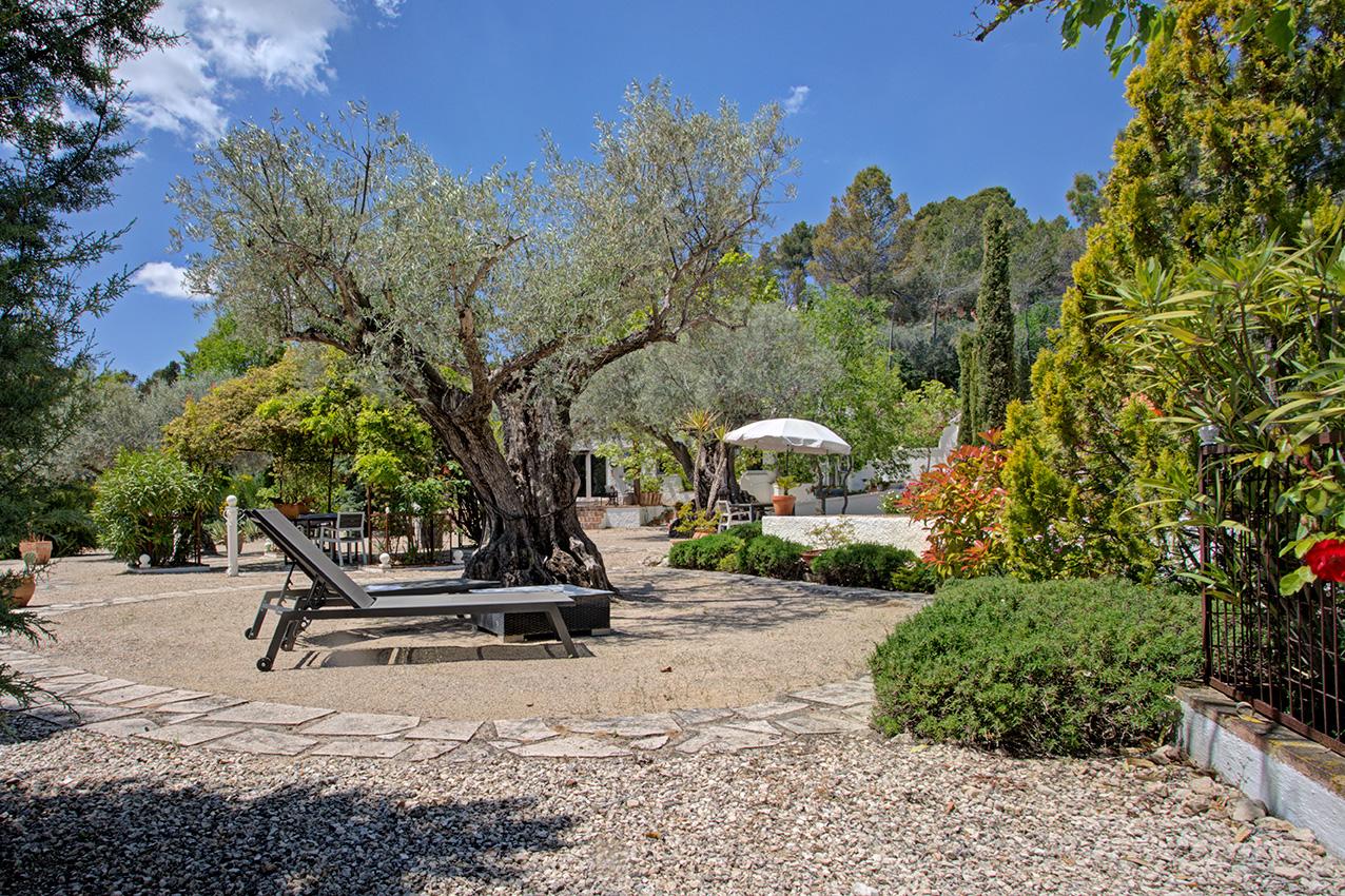 Fotografia propiedad S219