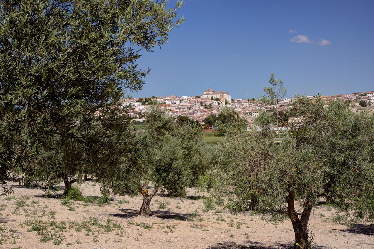 Fotografia propiedad S219