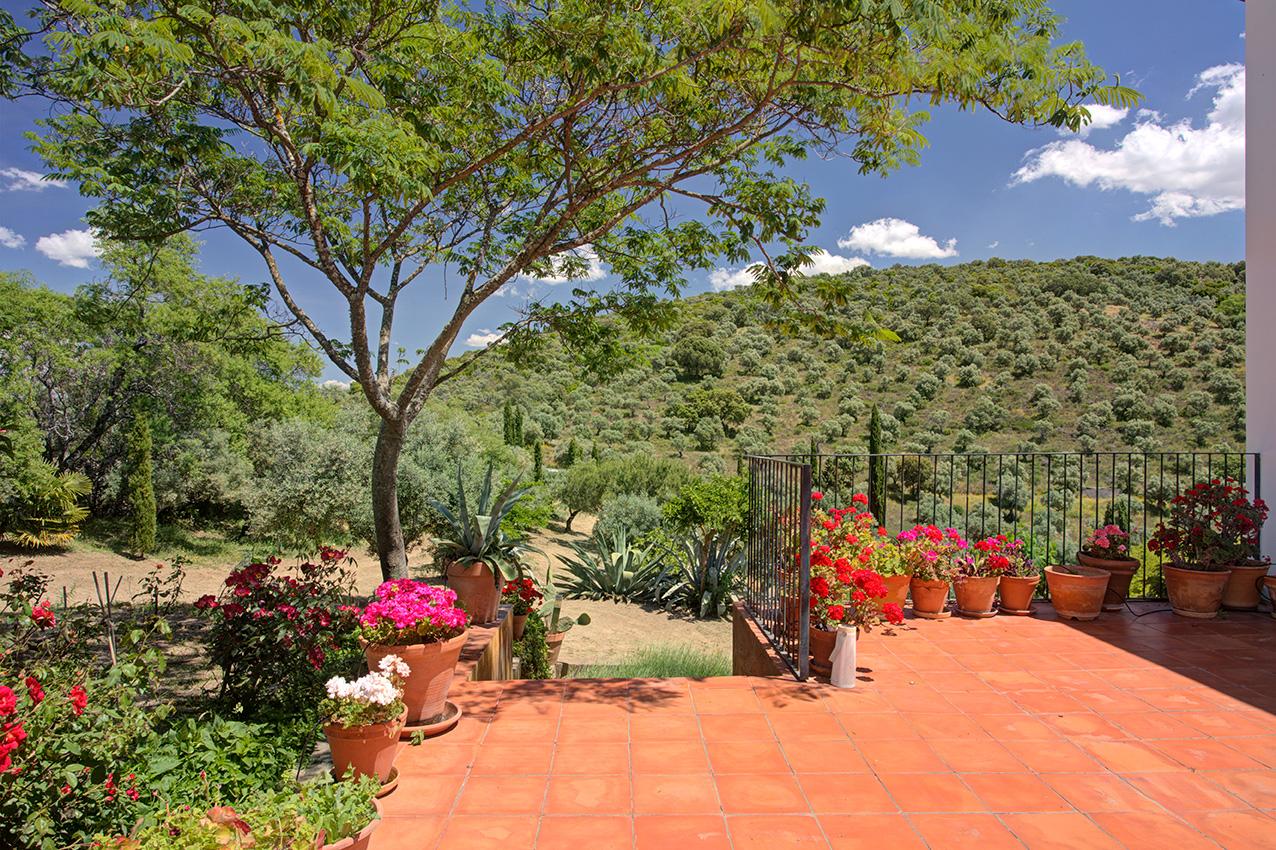 Fotografia propiedad S221