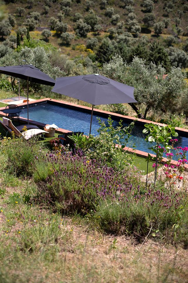 Fotografia propiedad S221