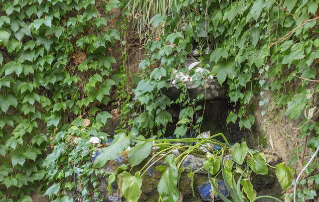 Property image S102