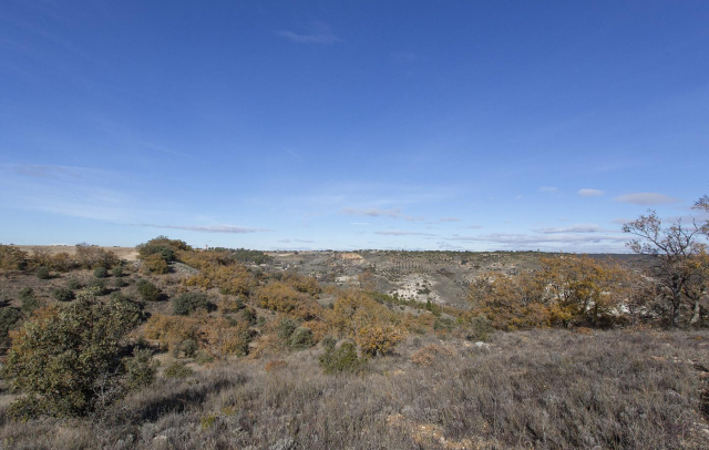 Property image S119